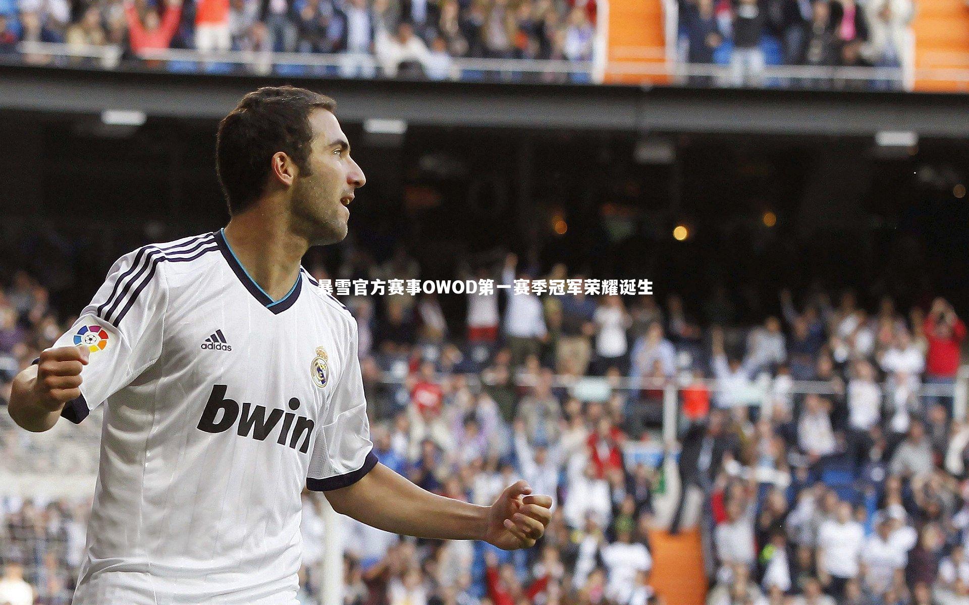 暴雪官方赛事OWOD第一赛季冠军荣耀诞生